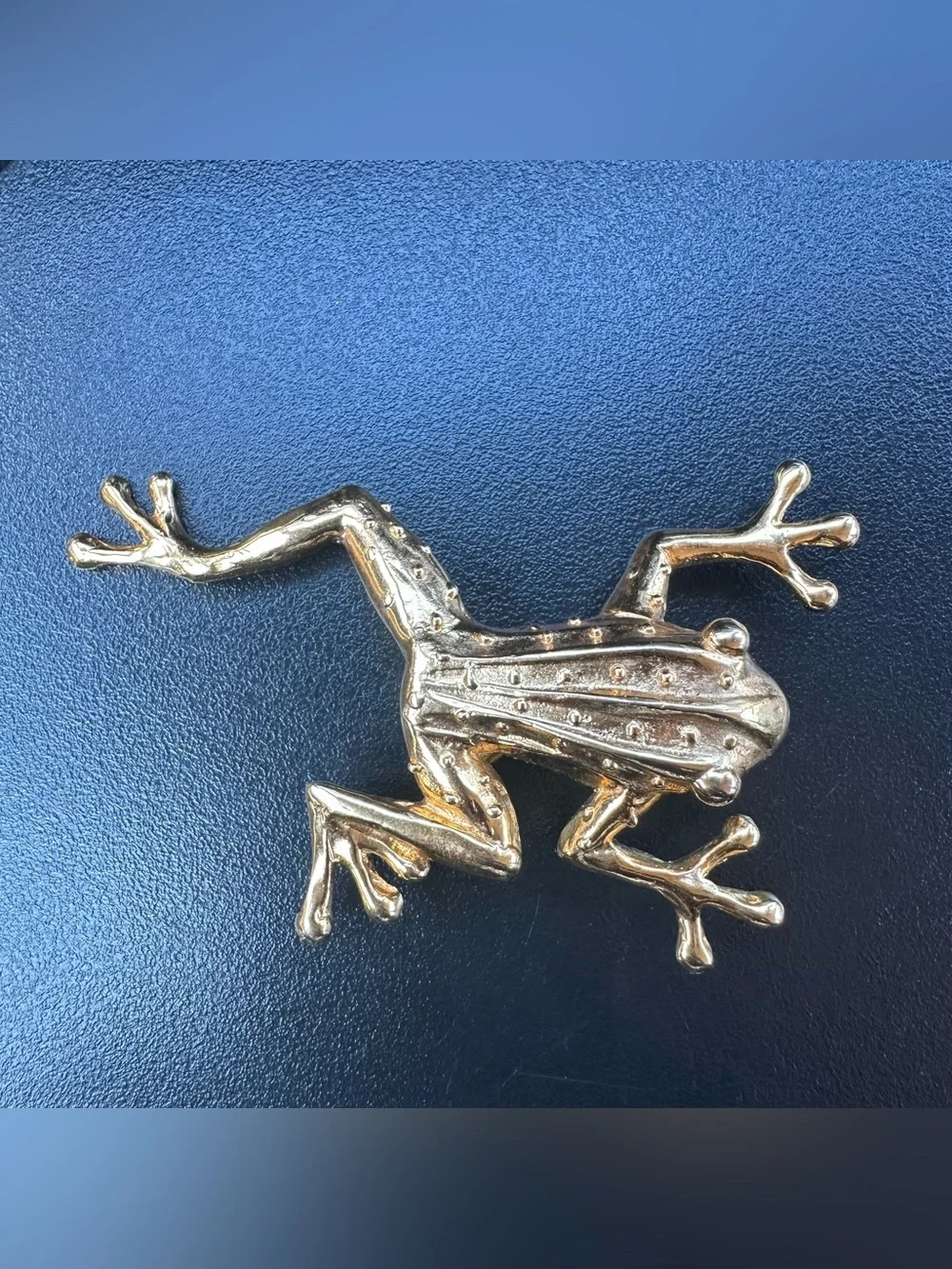 Vintage MIMI DI N 1985 Animalier collection Pendant Frog Brooch